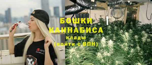дживик Аркадак