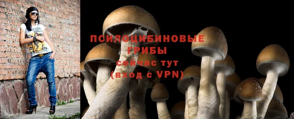 СК Арсеньев